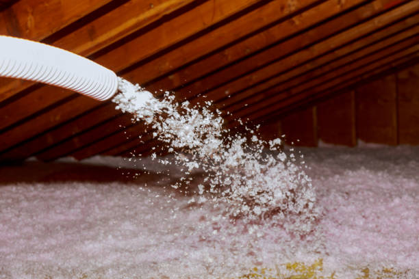 Best Eco-Friendly Insulation in Langhorne, PA