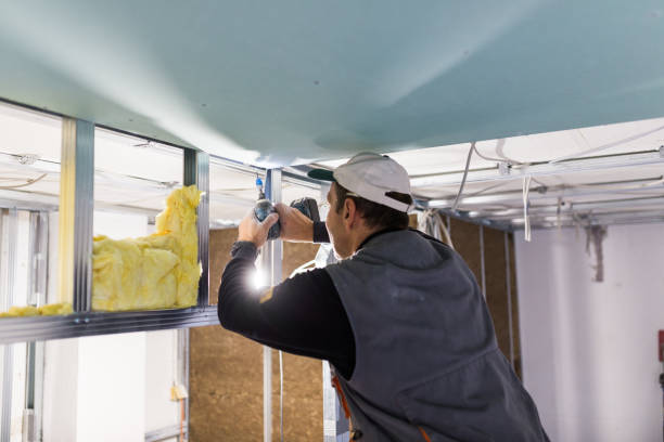 Best DIY Insulation Kits and Guidance in Langhorne, PA