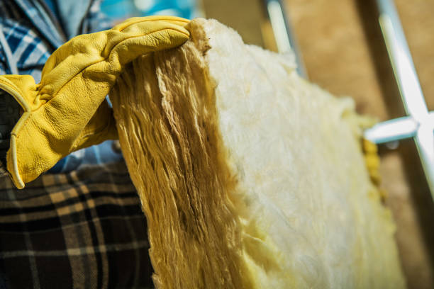 Best Geographic-Specific Insulation Services in Langhorne, PA